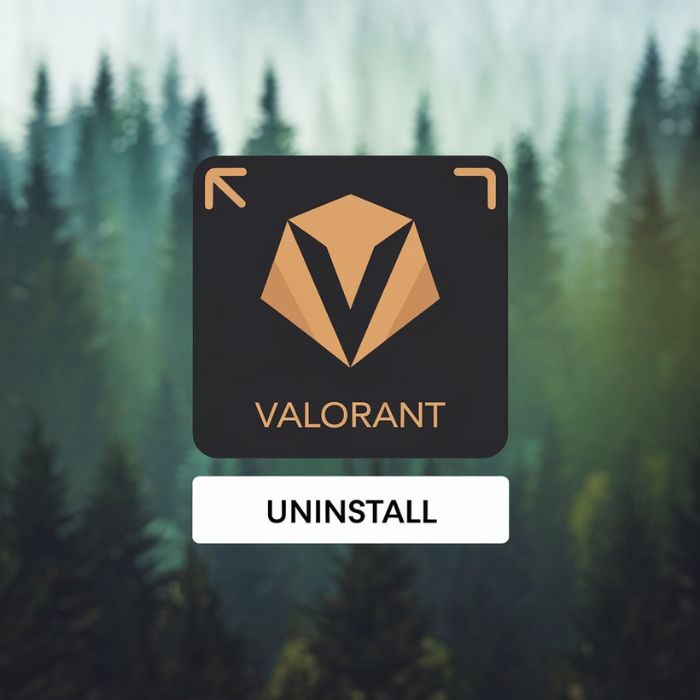 How to Uninstall Valorant Completely from Your PC